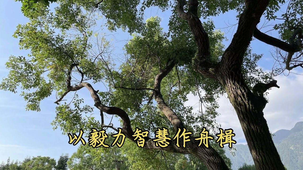 靜思淨斯歌曲《紅塵滾滾中的修行》