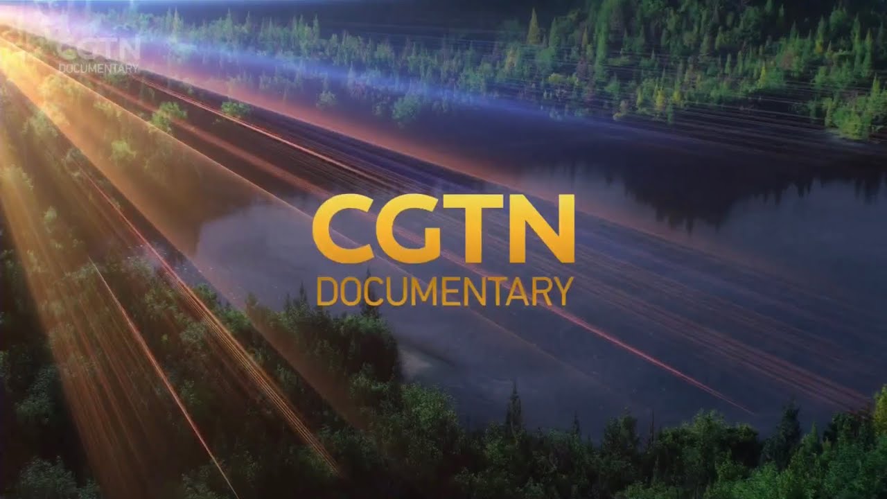 CGTN Documentary Ident History|CGTN紀錄歷年台徽|Все заставки CCTV9 Documentary/CGTN Documentary(2011-2020)