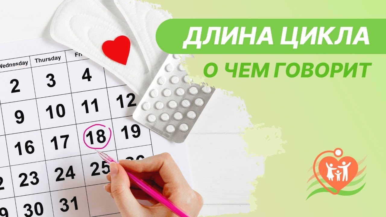 📅 О чем говорит длина цикла?