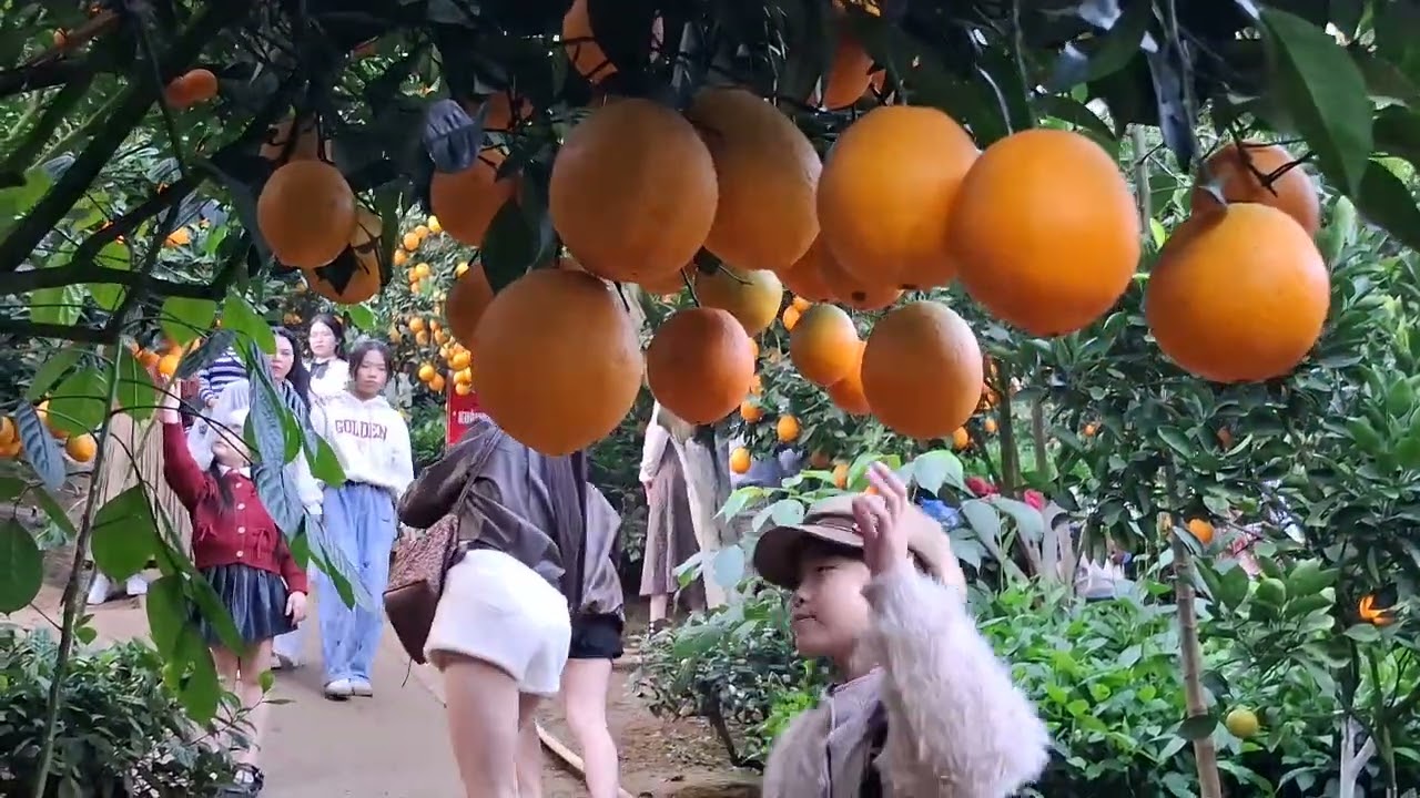 9 tháng 12, 2025