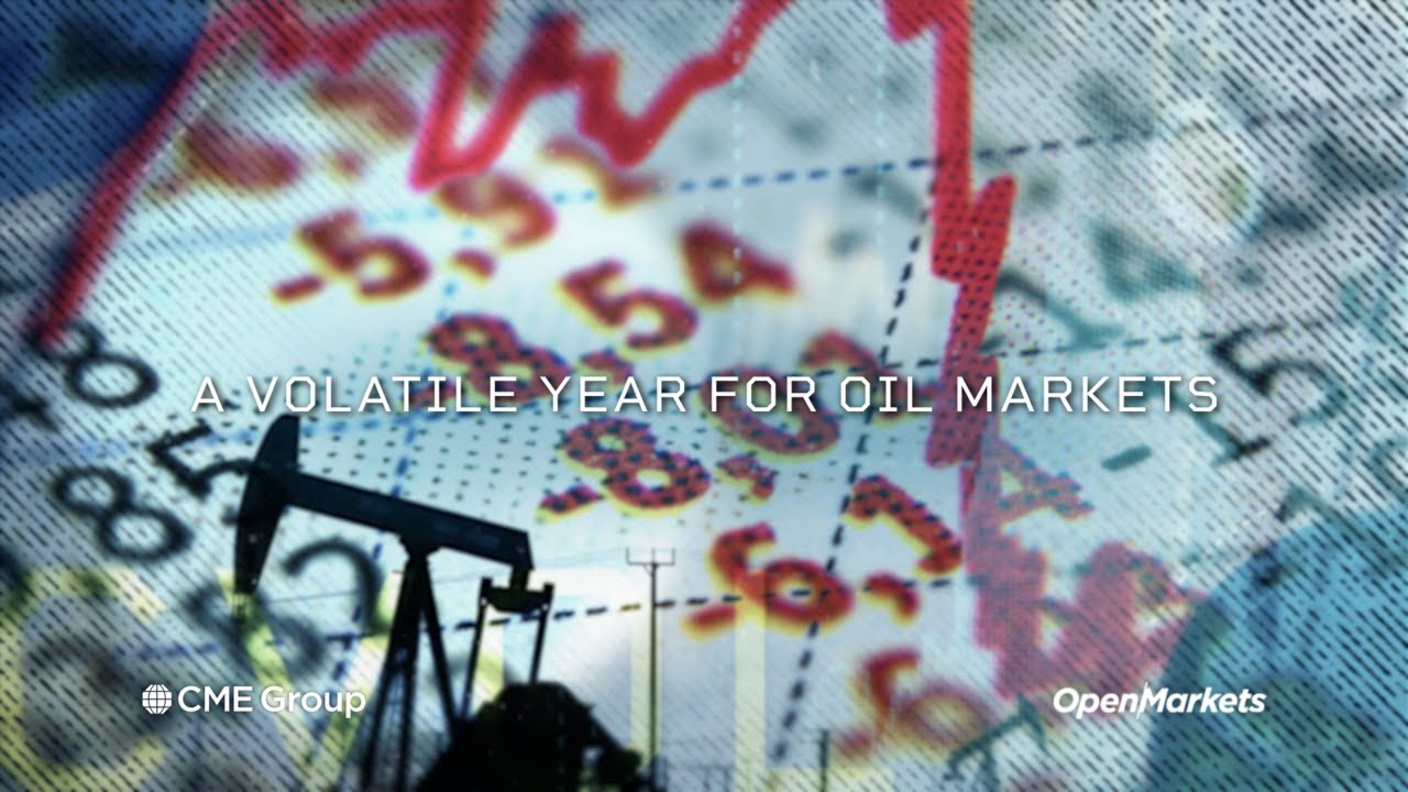 Economist Perspective: A Volatile Year for Oil Markets