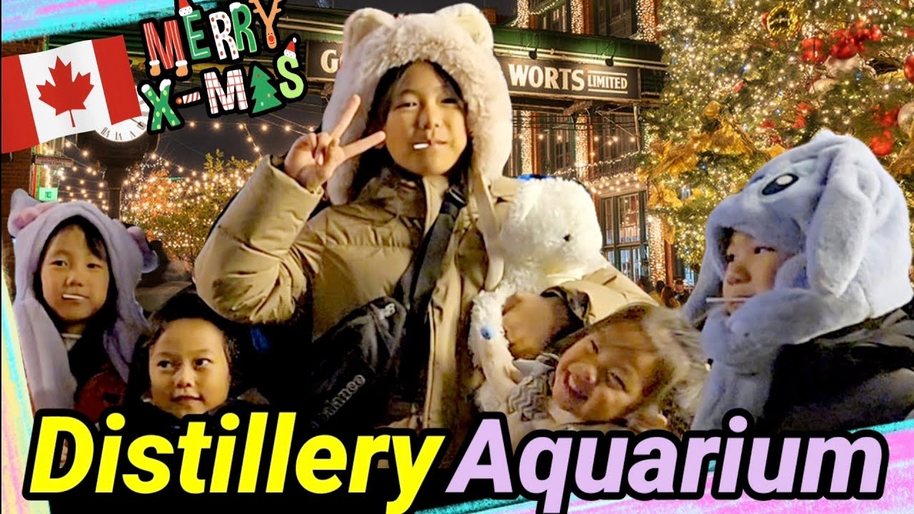 No.9 Ripley's Aquarium🐠 & Distillery District with 주아&이나(2024년11월)