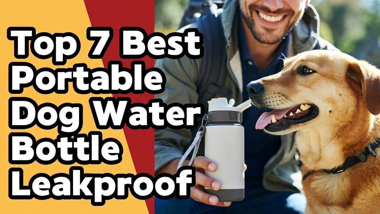Best Portable Dog Water Bottle Guide | Top 7 Leakproof Bottles Review (Unexpected) 2026