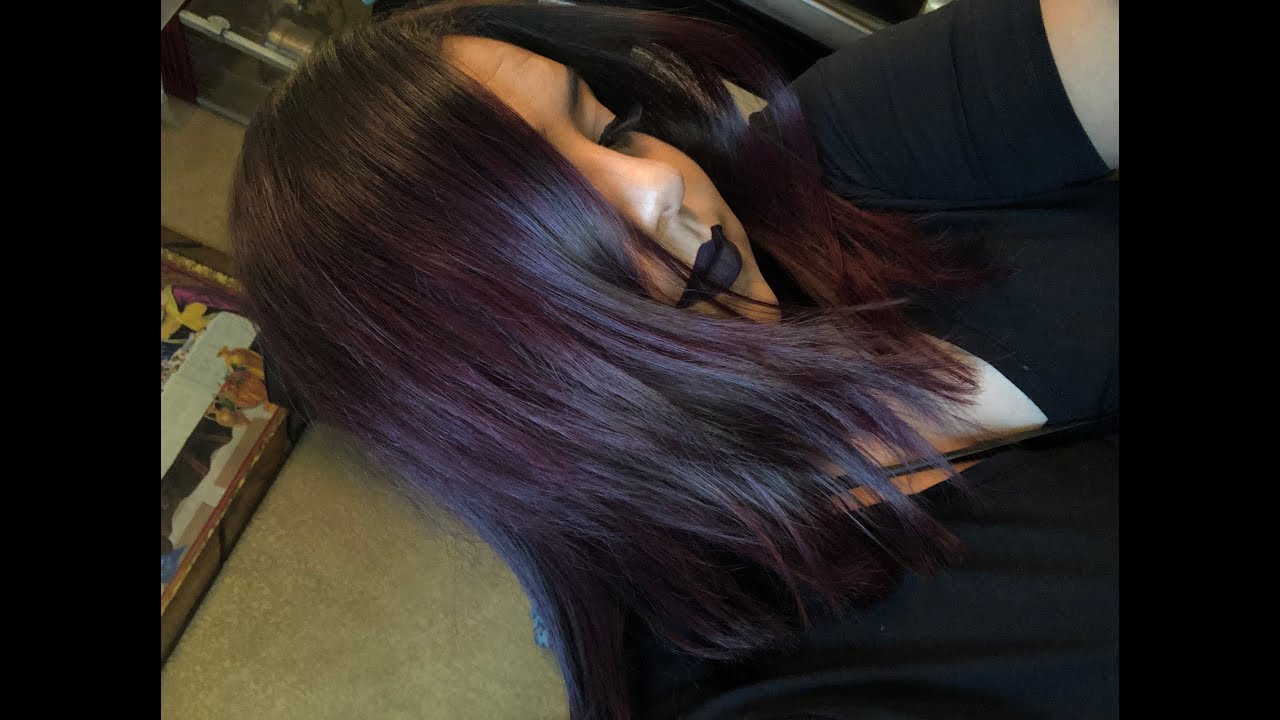Ion Brilliant 12 Ultra Gloss Permanent Hair Color in 4vv Plum