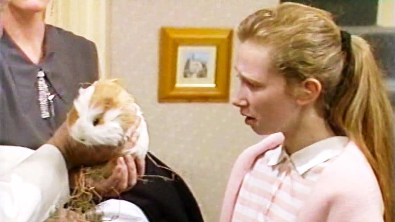 Mike and Angelo S2E8 (1989) - FULL EPISODE
