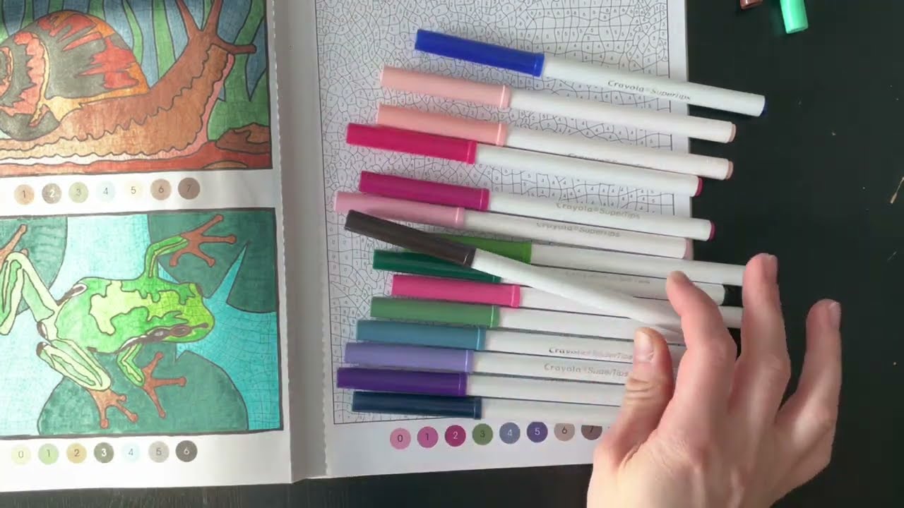 Vlog coloriage #1 - Feutres Crayola et CdC Polychromos