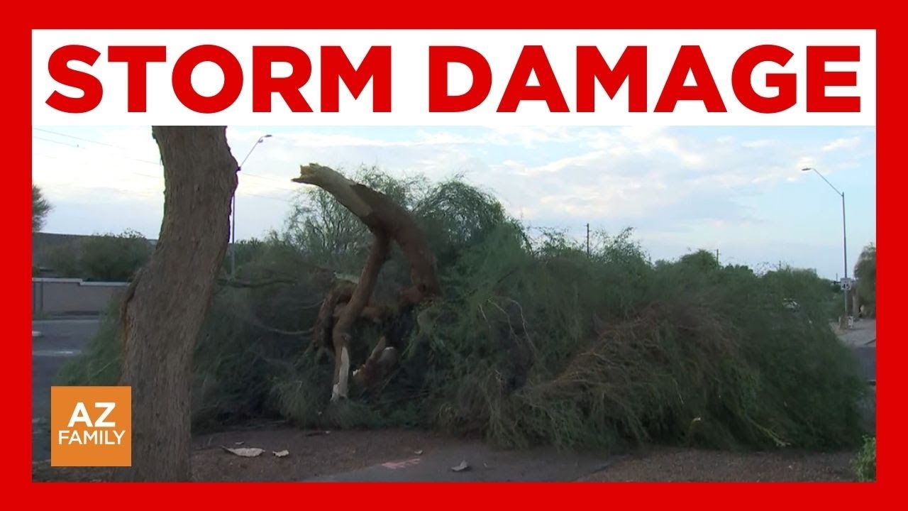 Overnight storms topple trees in north Phoenix area