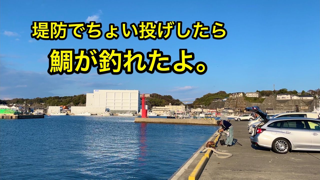【いわき小名浜堤防で鯛が釣れたよ】