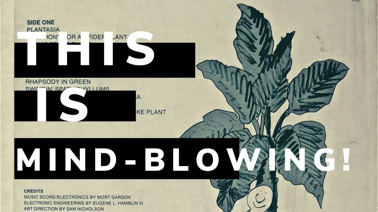 432hz Music Generated from Plants! (SIMPLY INCREDIBLE!)