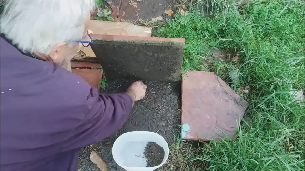 Γεωσκώληκες πως να παράγουμε