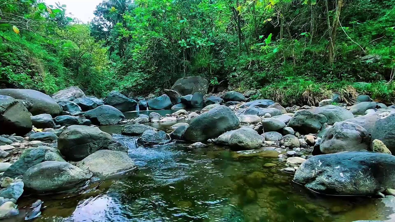 Forest River Flow Noise, Mountain Stream Water, Sleeping