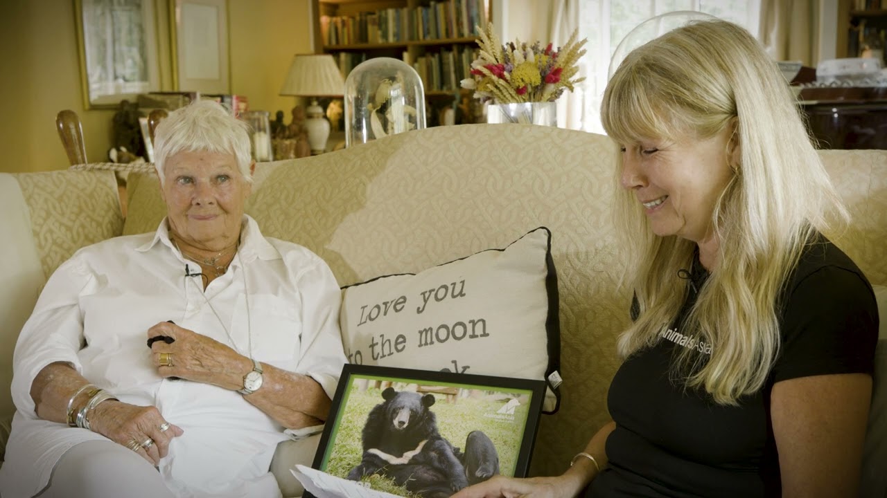 Dr Jill Robinson MBE Chats to Dame Judi Dench (Complete Conversation)