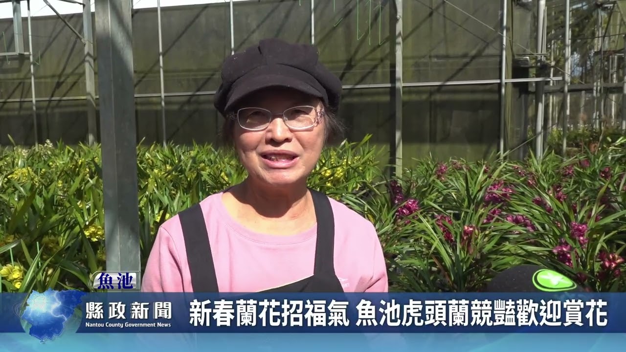 新春蘭花招福氣 魚池虎頭蘭競豔歡迎賞花｜南投縣政新聞 2026.02.04