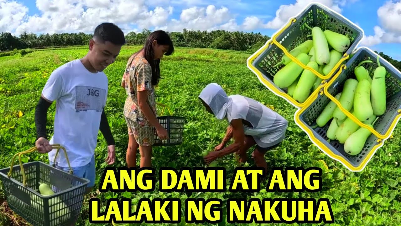 pt.20| TINULUNGAN KO SILA HANNAH 