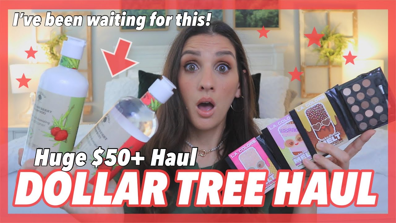 🍓 $50 DOLLAR TREE **BRAND NEW NEVER BEFORE SEEN ITEMS** RESTOCKING CLEANING PRODUCTS