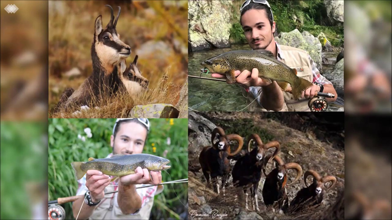 GROSSES TRUITES FARIO EN MOUCHE SECHE EN HAUTE-MONTAGNE