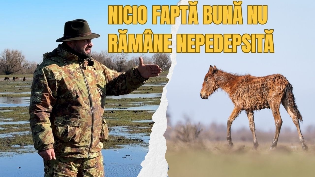 Nicio faptă bună nu rămâne nepedepsită...