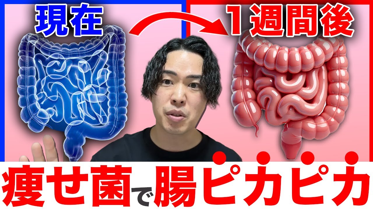 【3ヶ月で−10kg】ガチで痩せる「腸内環境」の作り方9ステップ