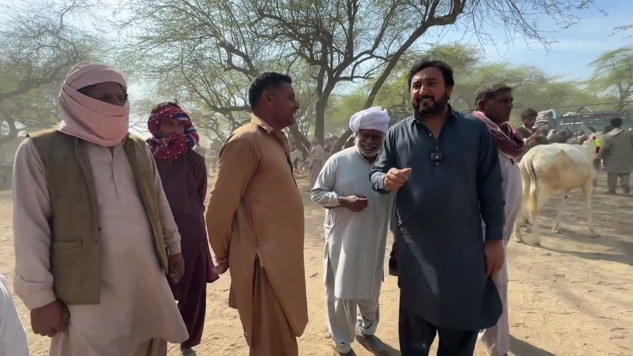 Anjum Saroya gia Khota vechan Khota Mandi Tandlianwala ty Lay Aaya Khoti| Rana  khota mehnga