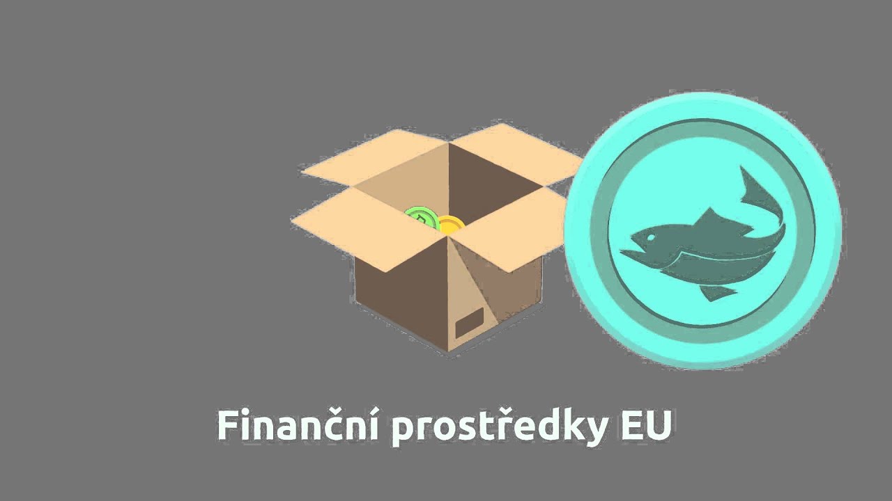 Politika soudržnosti Evropské unie: investice do vašich regionů a měst