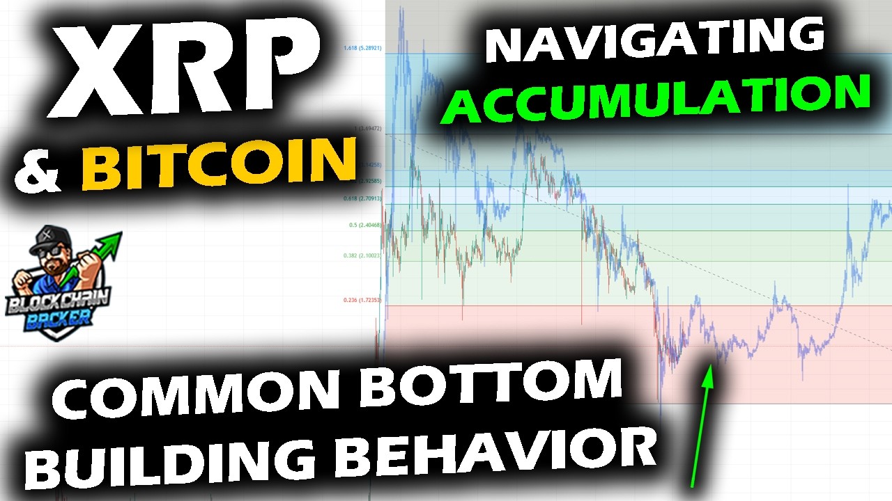 Анализ формирования дна на графике цены XRP, рынка биткоина и альткоинов с использованием индикат...