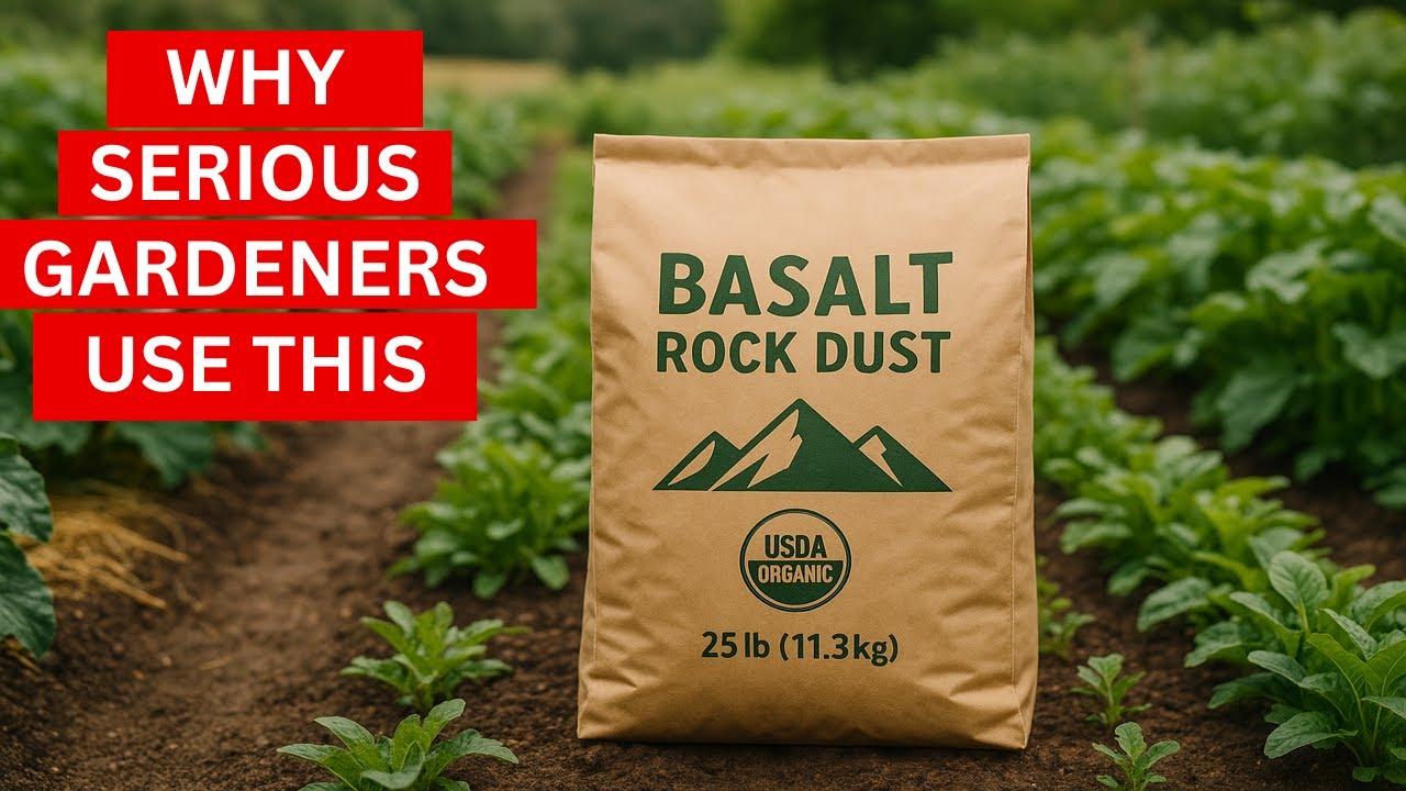 Basalt Rock Dust | World Class Gardener Explains Why He Uses It!