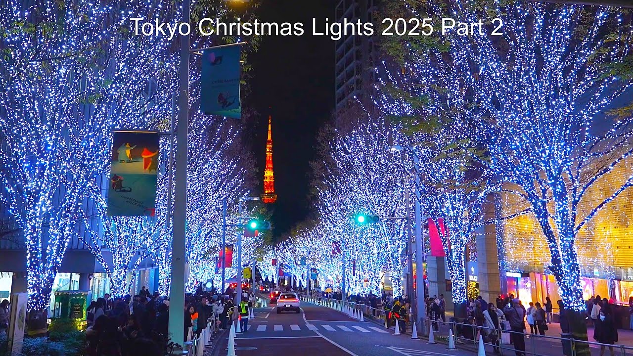 【Japan Christmas Lights 2025 Part 2】Walk through 4 popular spots in Tokyo!