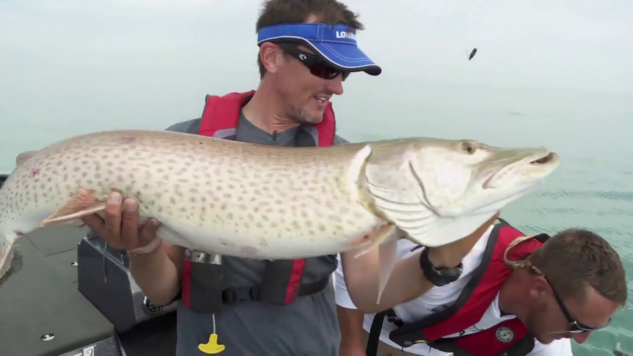 Trolling for TROPHY Muskies: Joel Piatek's Tactics on Lake St. Clair