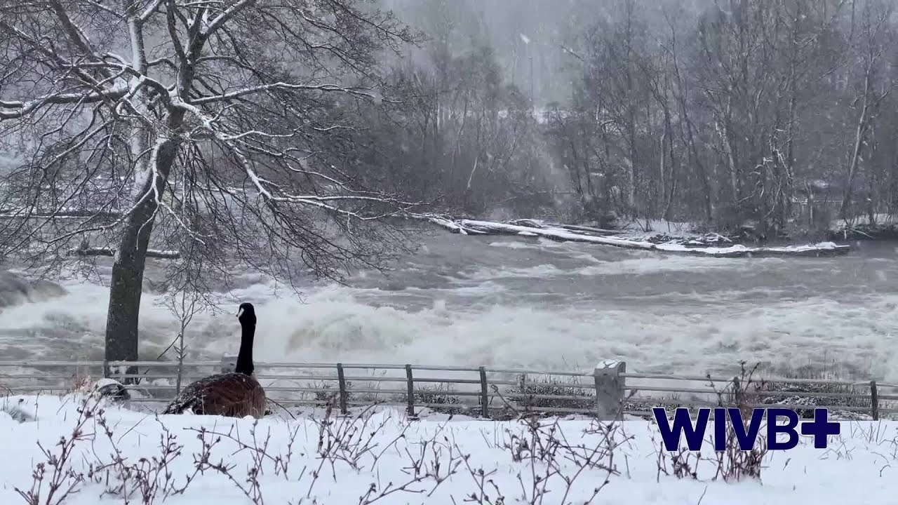Buffalo Brief: 'A Soldiers Journey