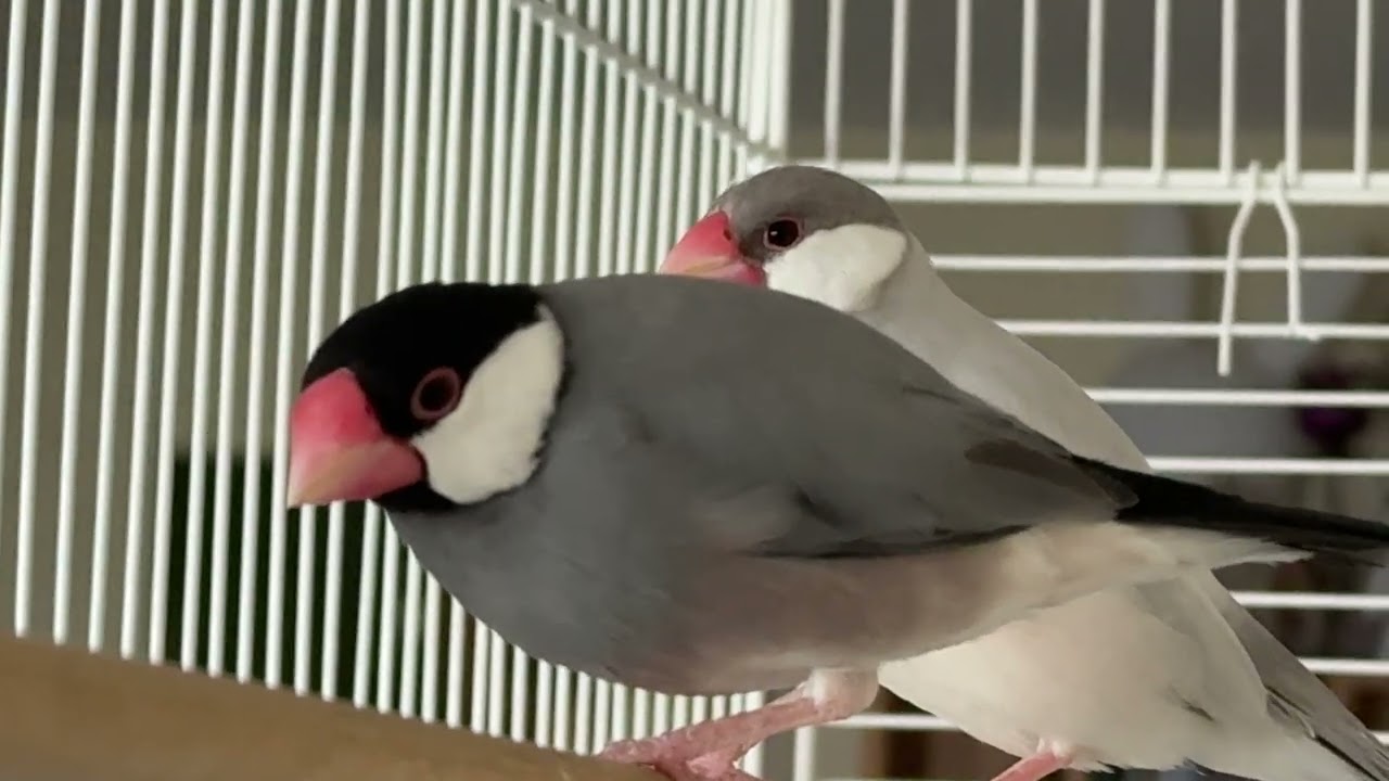 Closer, closer and closer