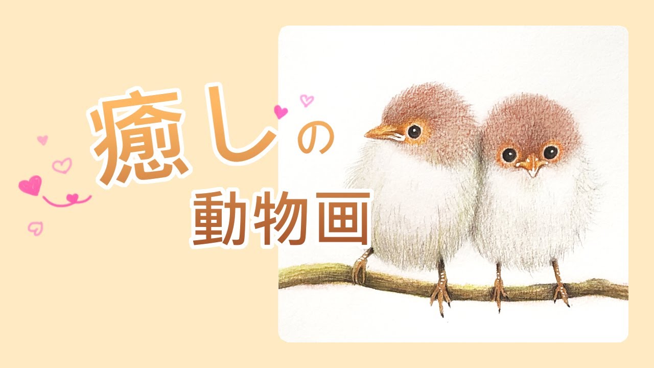 #82《粉彩畫動物 / 可愛小鳥》粉彩 + 色鉛筆