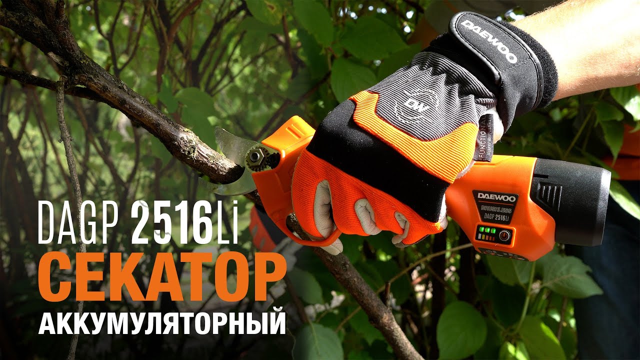 Аккумуляторный секатор DAEWOO DAGP 2516Li