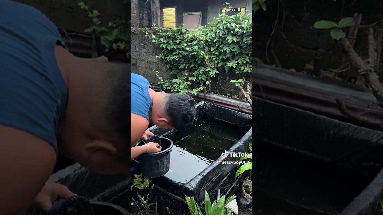 Pond maintenance