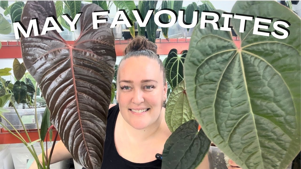 ✨Top 10 May Favourites ✨
