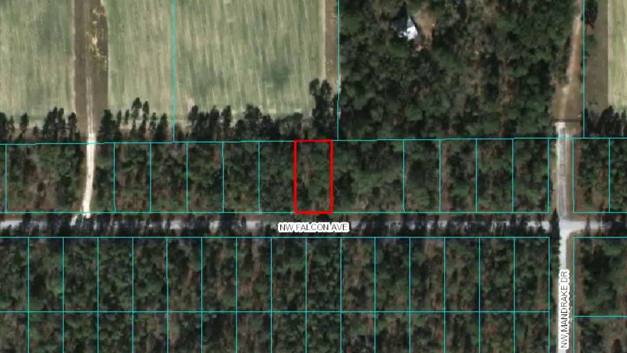 Lots And Land for sale - 0 NW Falcon Avenue, Dunnellon, FL 34431