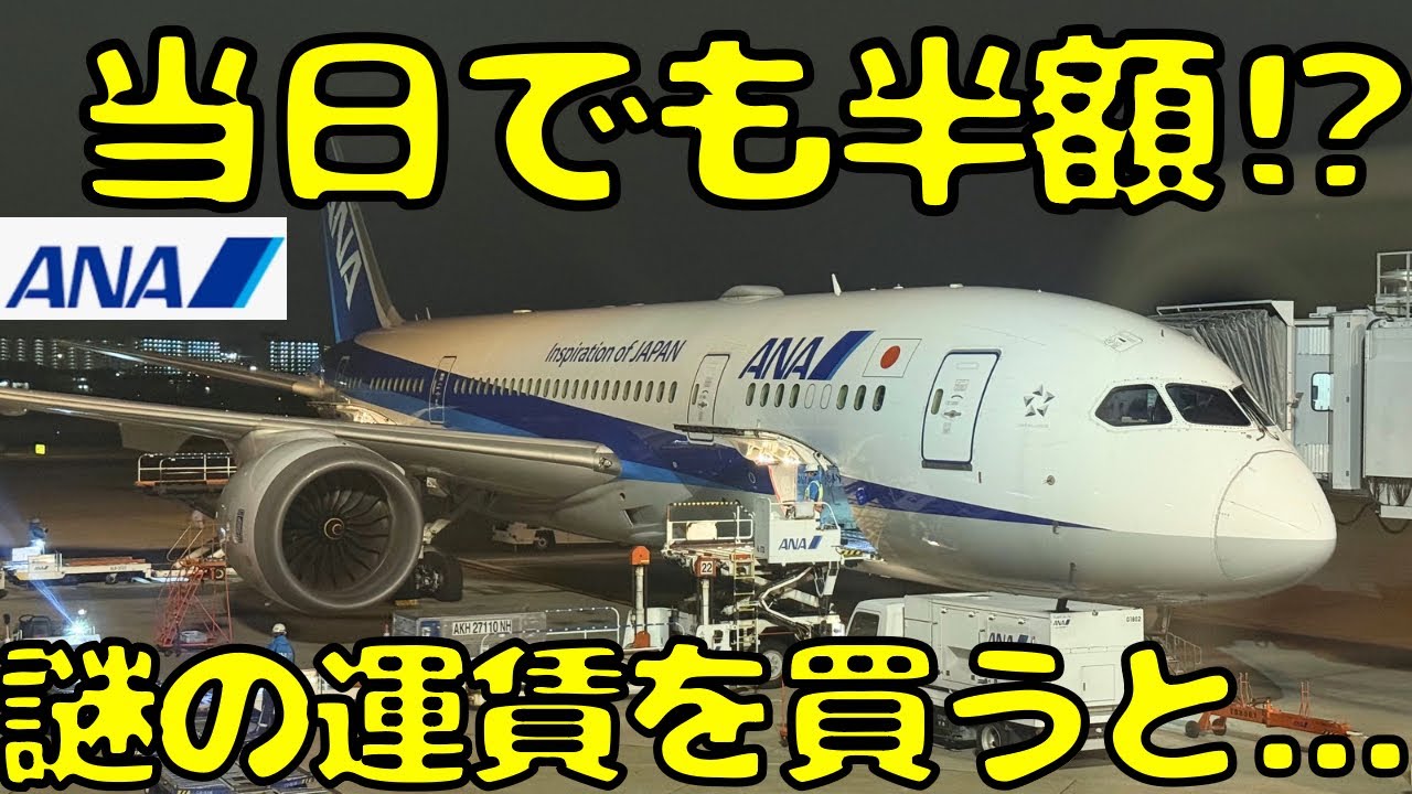 【26歳以上もok⁉︎】福岡→伊丹のANA便を謎のサイトで当日発券すると...