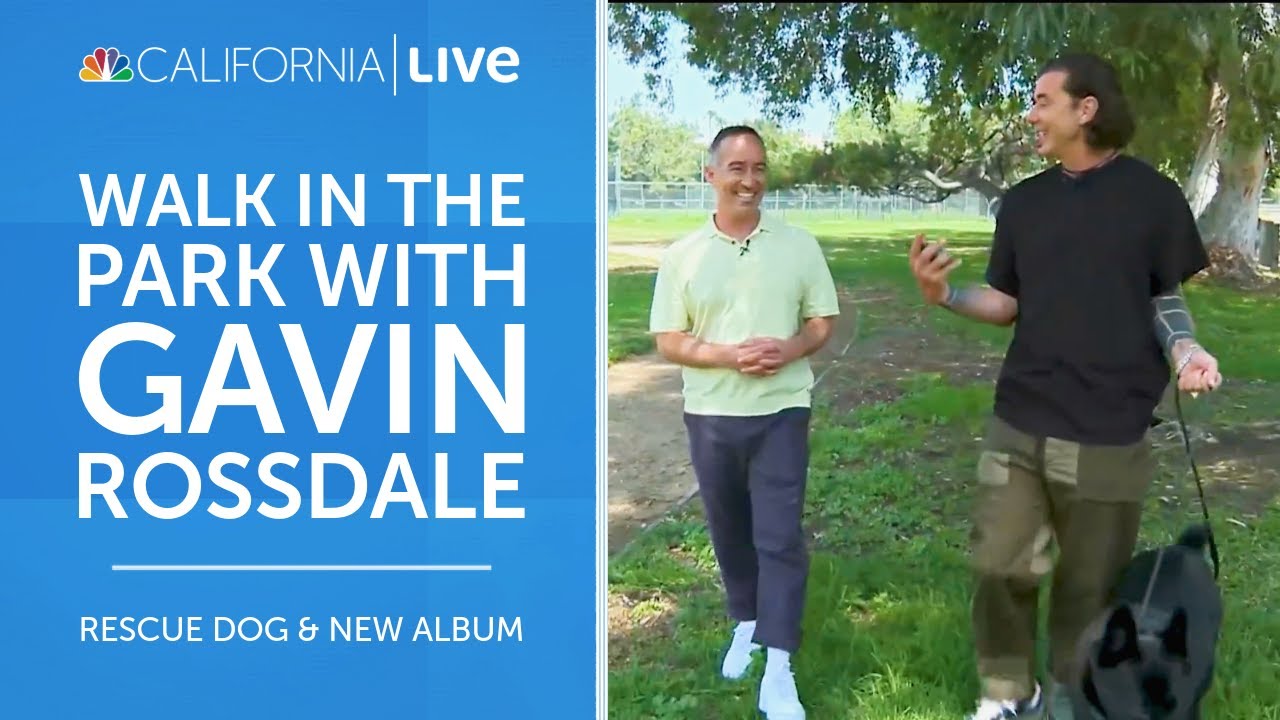 Walk in the park with Bush’s Gavin Rossdale and his rescue dog, Kaya