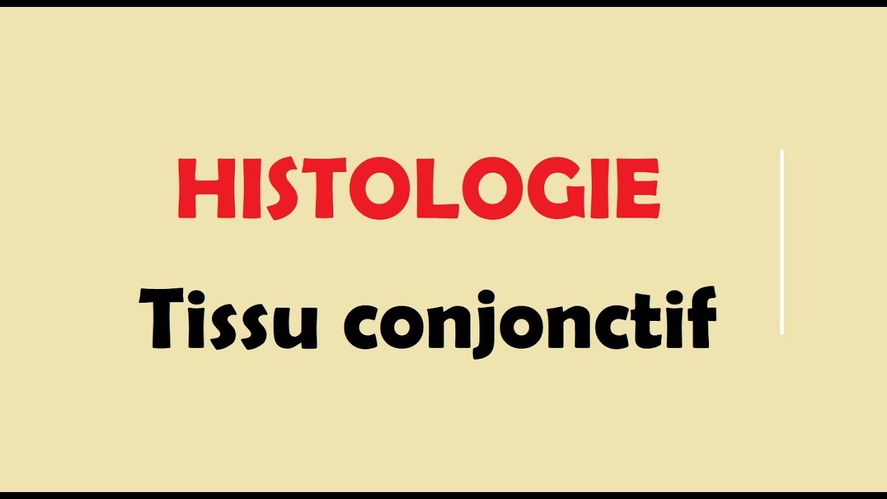 cours HISTOLOGIE Ep2: Tissu conjonctif