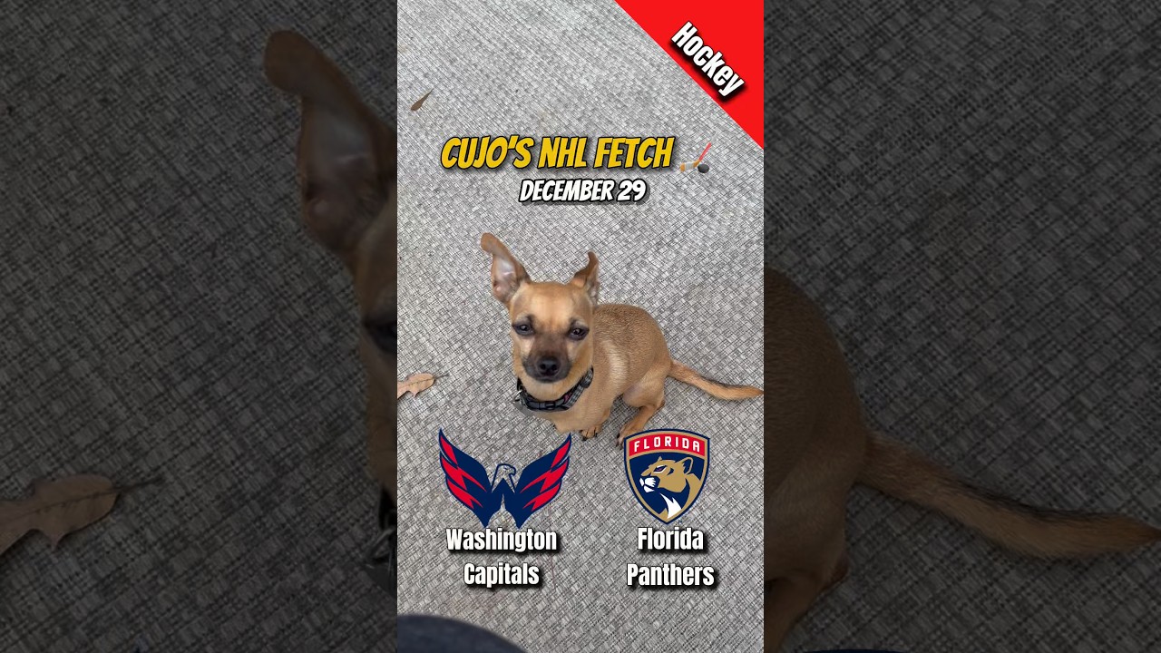Cujo’s NHL Fetch | Capitals at Panthers 🐕 12-29-2025 NHL Hockey