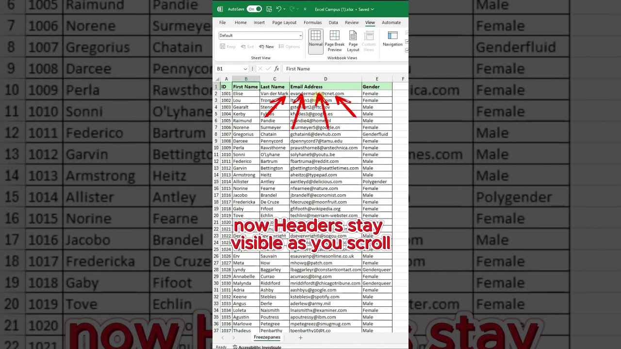 Freeze Panes in Excel