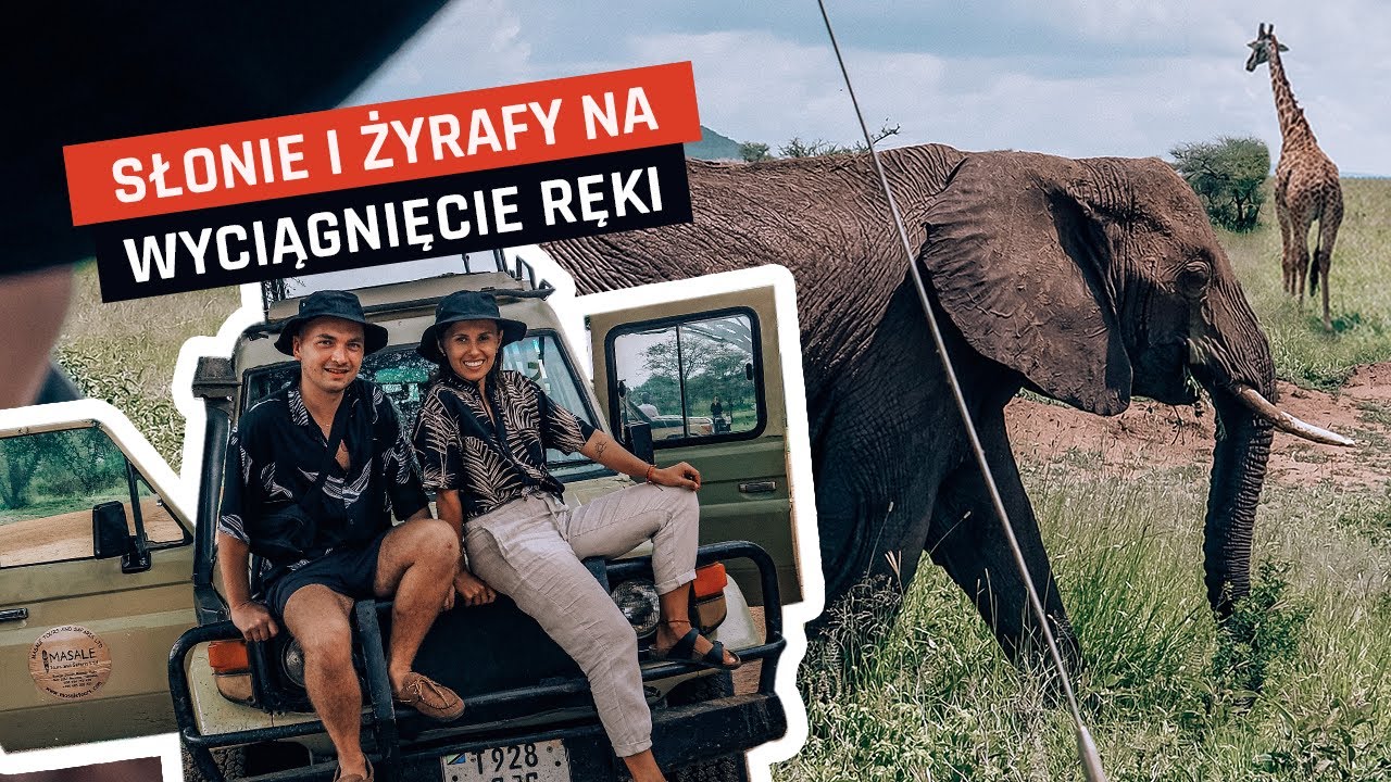 Safari w Tanzanii - Czy warto wydać kilkaset dolarów na wizytę w Serengeti?