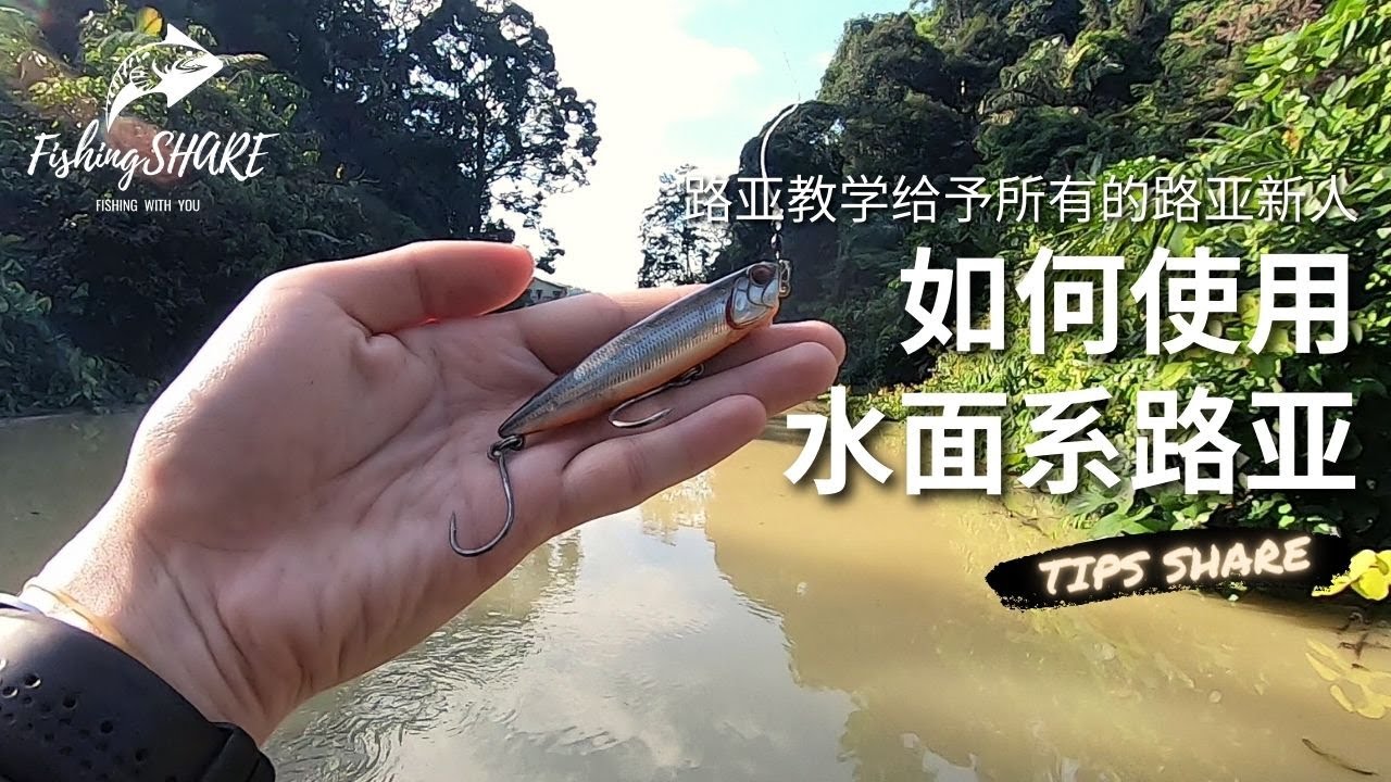 【FishingShare】路亚教学给予所有的路亚新人 如何使用水面路亚饵|HOW TO USE LURES FOR BEGINNERS | TOPWATER LURES TUTORIAL