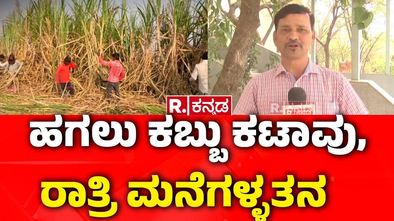 Bagalkote Mask Gang theft Arrest : ಹಗಲು ಕಬ್ಬು ಕಟಾವು, ರಾತ್ರಿ ಮನೆಗಳ್ಳತನ