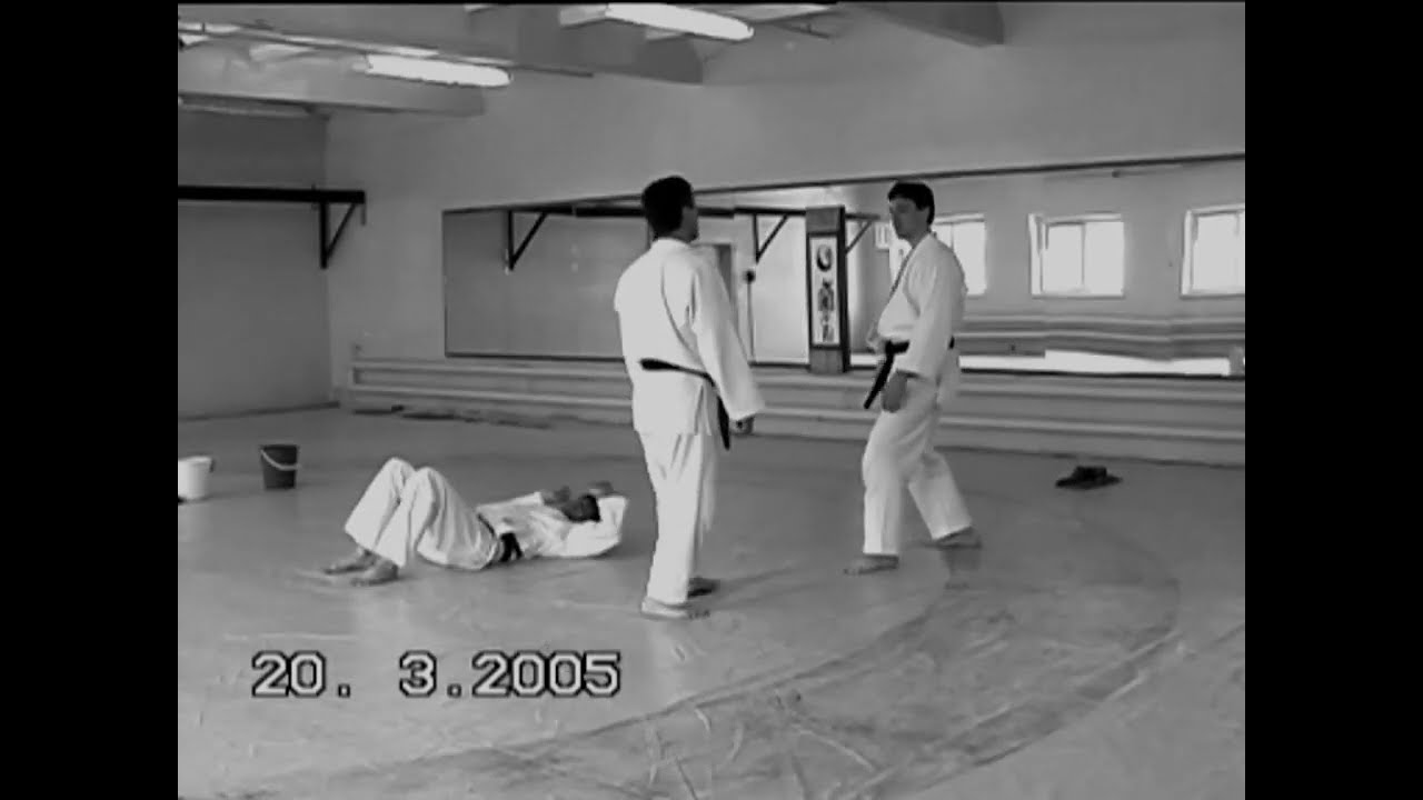 Aikido IWAMA RYU Botov Sergey shihan   Oyo & Henka waza IRIMI principles