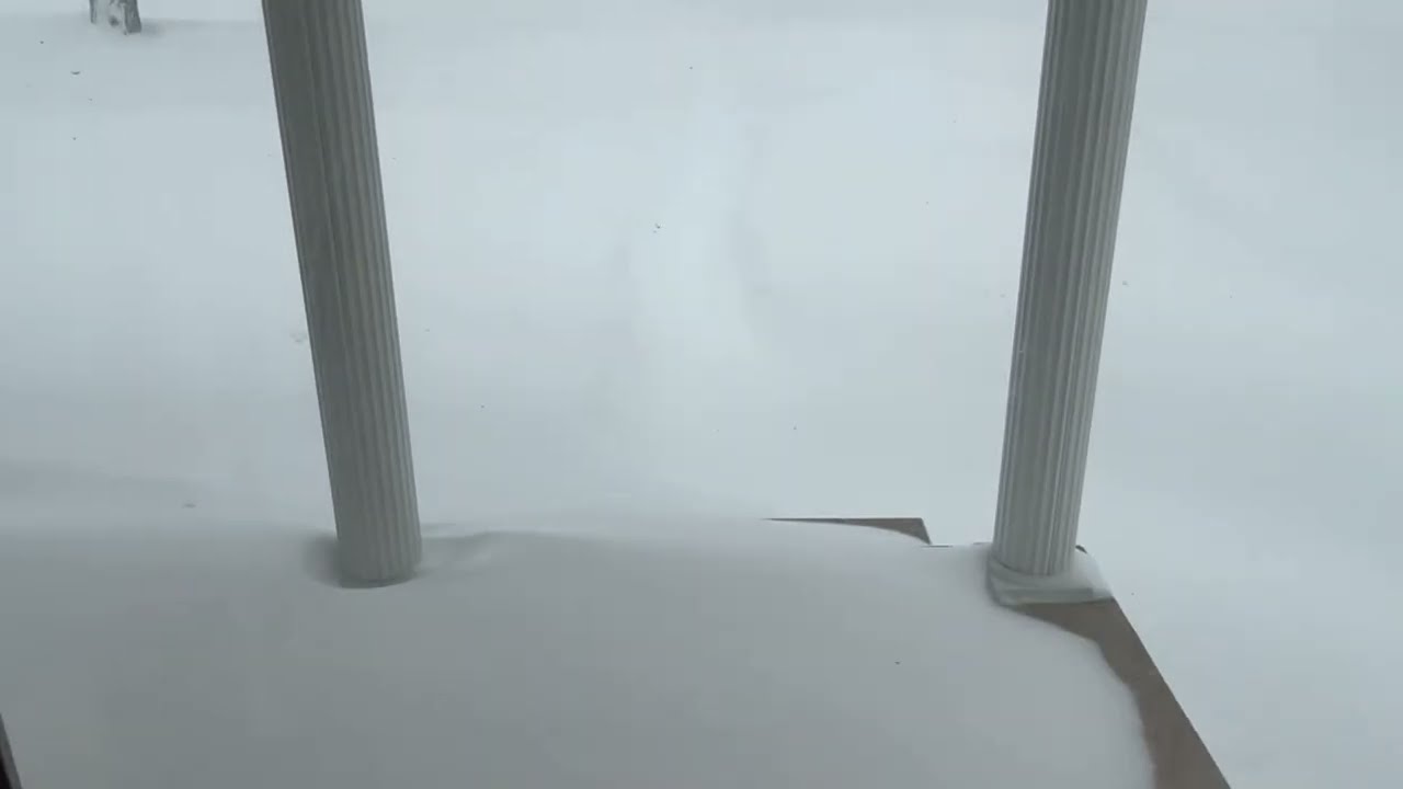 Elsa Blizzard Hitting The UP Hard!