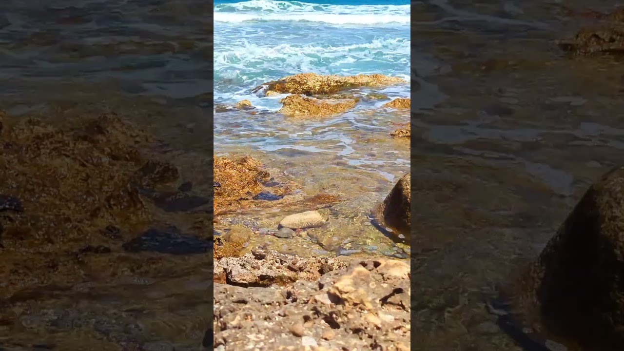 Море шепоче до каміння 🌊