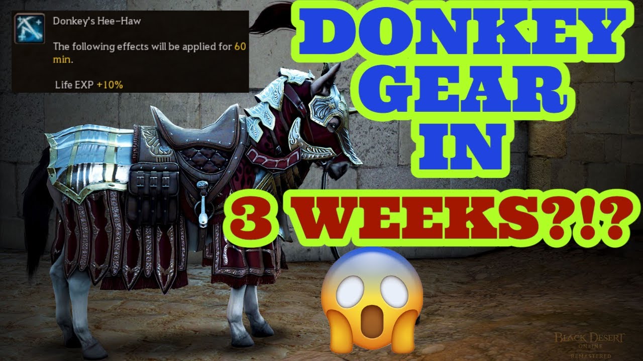 GET KROGDALO DONKEY GEAR FAST!!! | Black Desert Online | BDO Guide