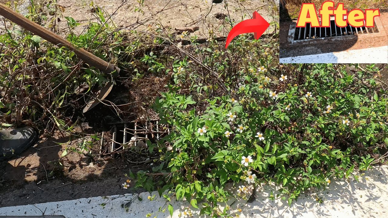 Clean up Overgrown Weeds on Sidewalk ASMR. AMAZING Transformation!