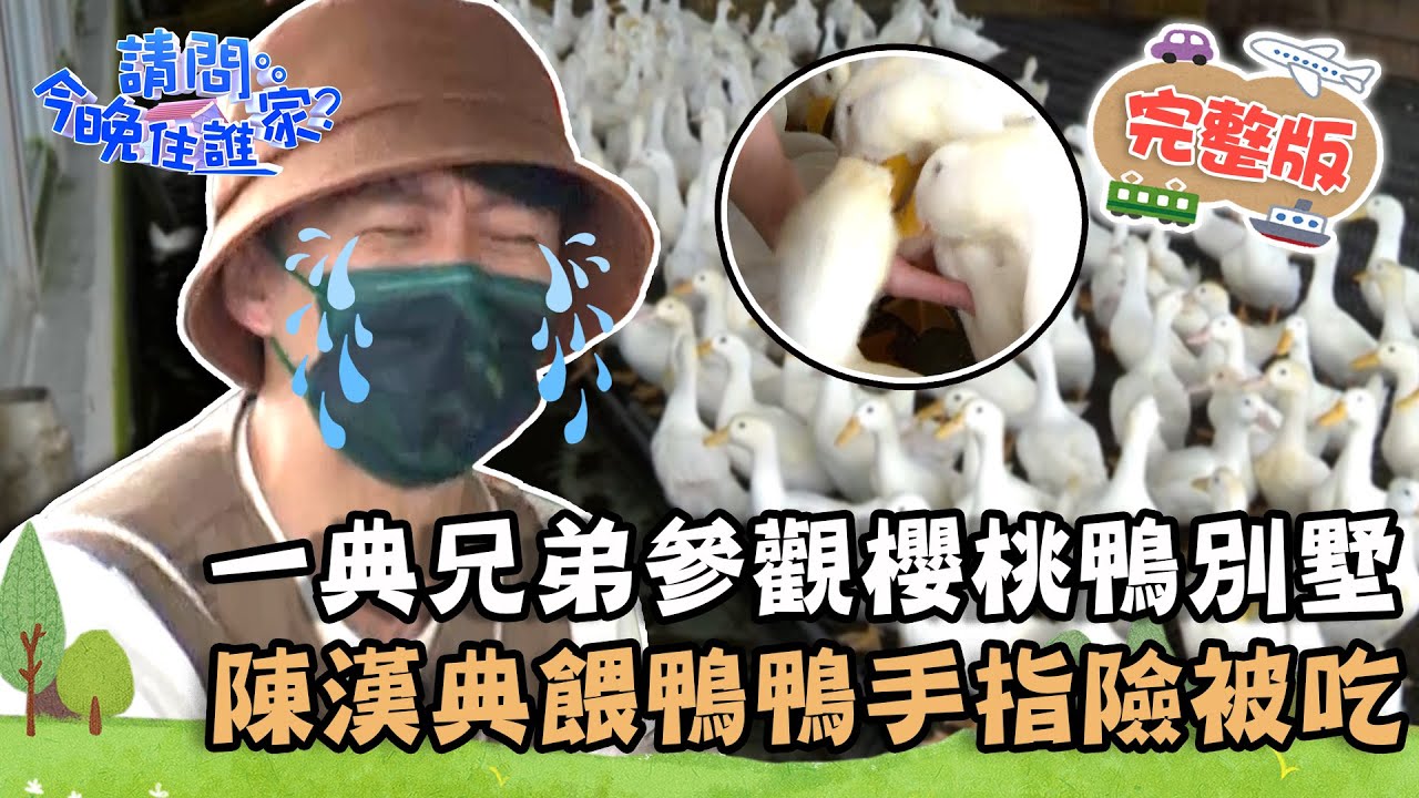 【宜蘭】復育瀕危台灣「蝦柳」！一典兄弟參觀櫻桃鴨五星級別墅 陳漢典餵食鴨鴨手指險被吃掉？📌礁溪【請問 今晚住誰家】20220525 EP549 王傳一 陳漢典