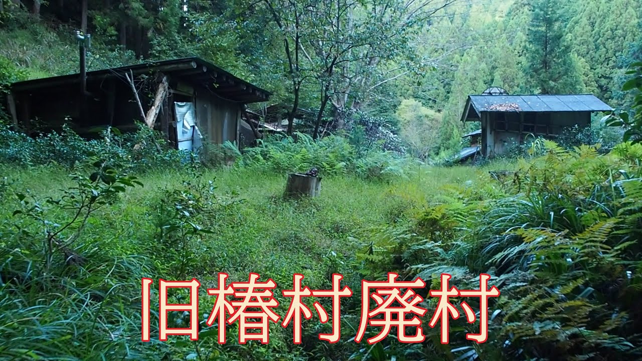 明治に数百人が住んでいた廃村椿村（岐阜県山県市）Abandoned village “Tsubaki Village”